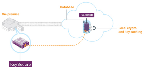 protectDB_diagram.jpg