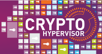 Crypto Hypervisor 标志